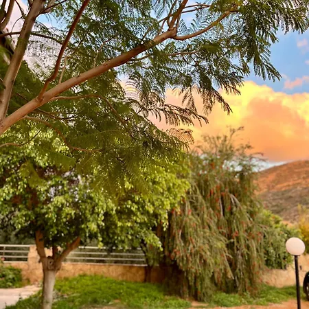 Thalia Apartment Agia Galini (Crete)